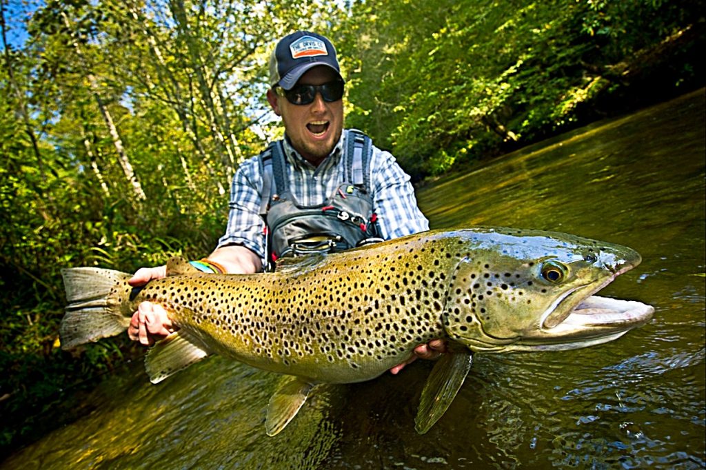 The Leopard Trout Pout Of Nephilim Betrayed