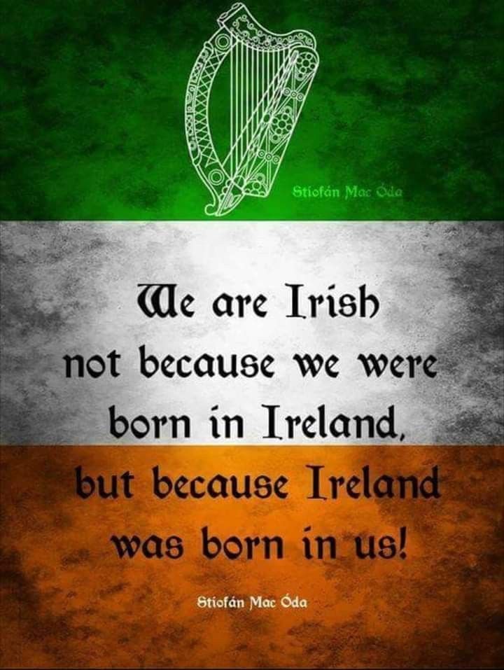My Dad was born in Northern Ireland which makes me Irish by descent in the eyes of the South and North. England can't take away my heritage. My roots are established and no denial of a Commonwealth passport can deny it. 