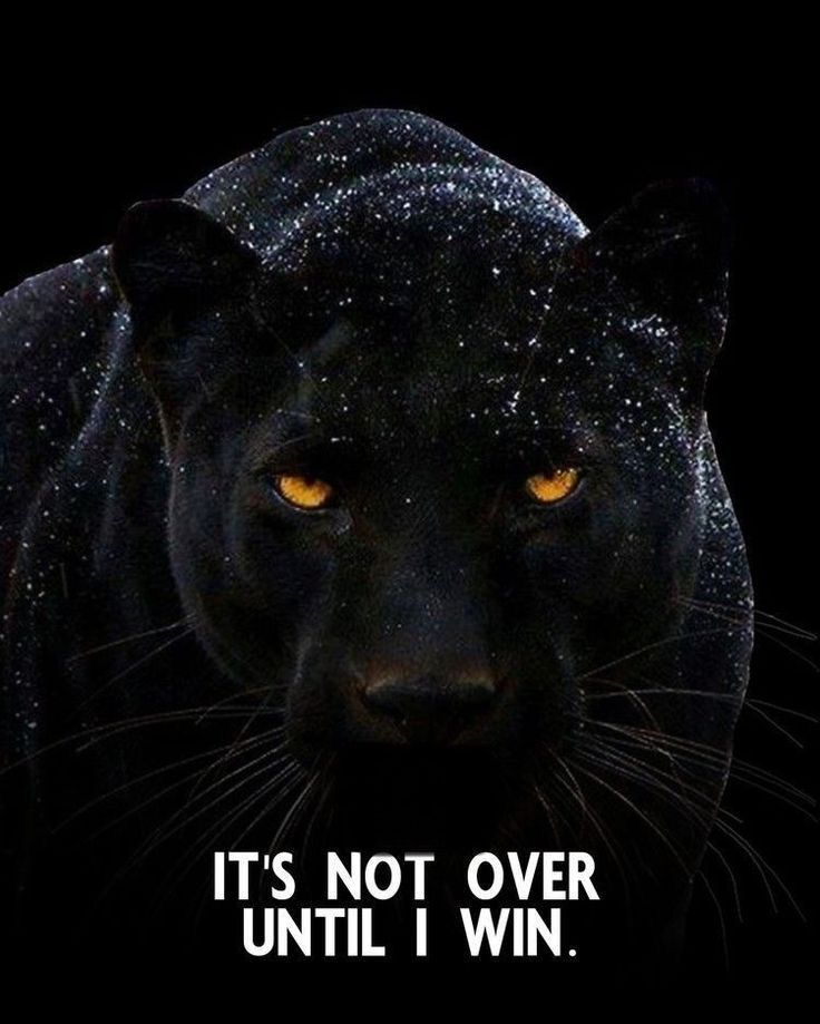 This world belongs to God not dark grey who continuously tries to stick their biggest finger up God's asshole. 